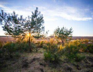 Word Gooise Natuurbeschermer