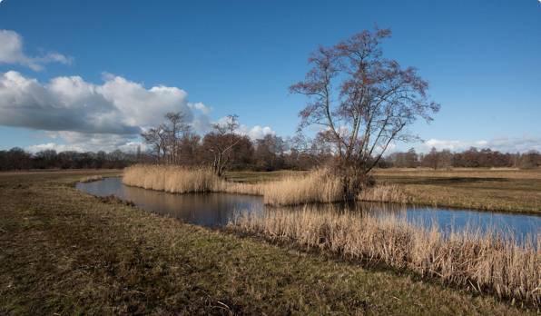 Speciale excursies in het Goois Natuurreservaat Open Monumentendag