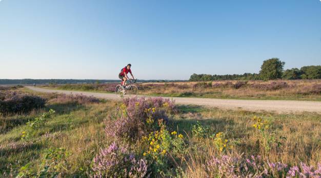De fietspaden van het GNR