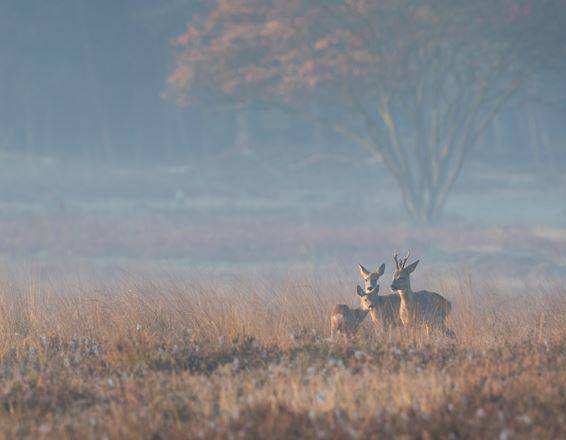 Zorg voor elkaar én de natuur