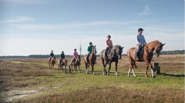 Bestel nu je ruiter- en koetsiersvignet