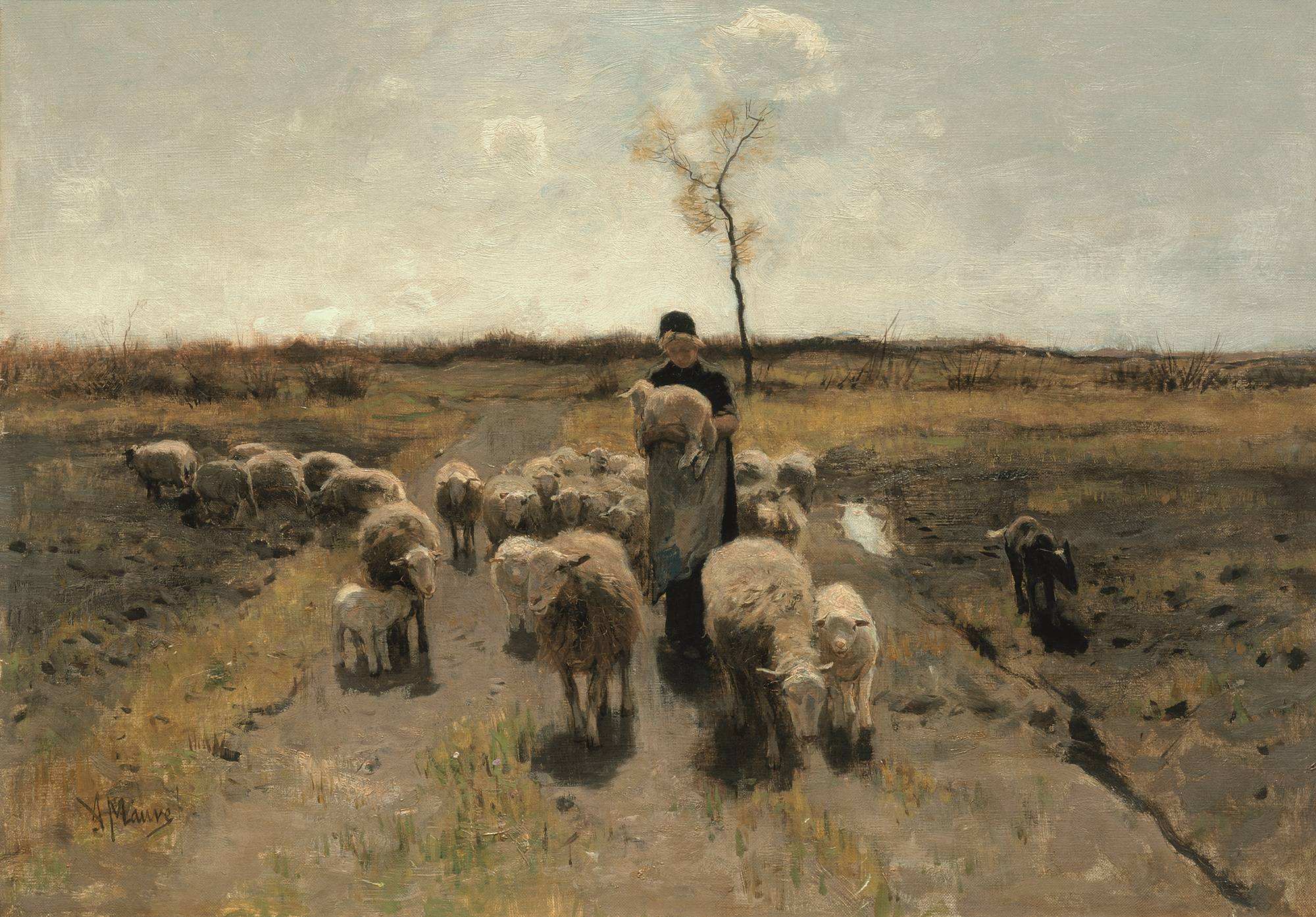 90 jaar Goois Natuurreservaat