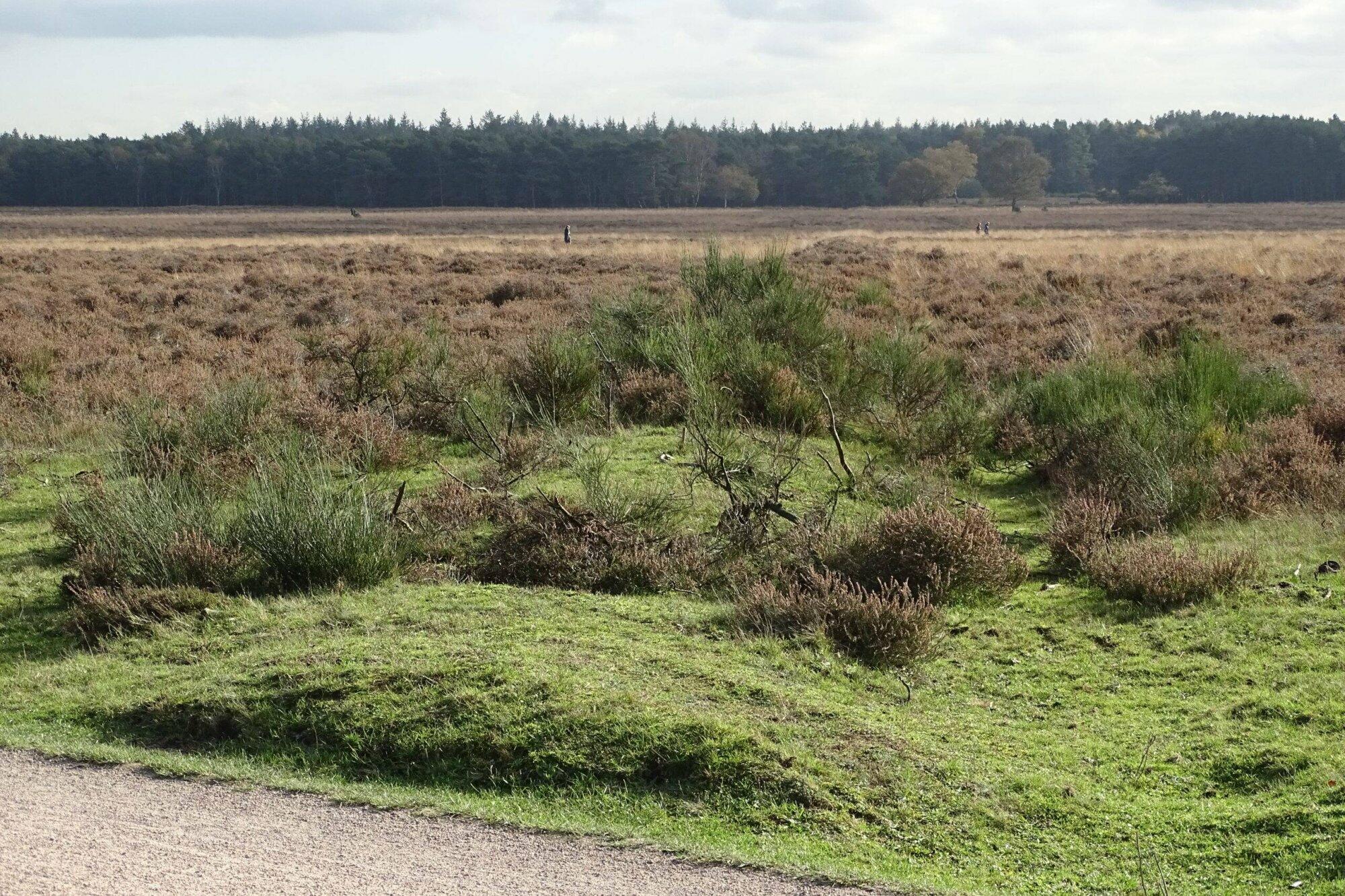 Terug naar de 15e eeuw