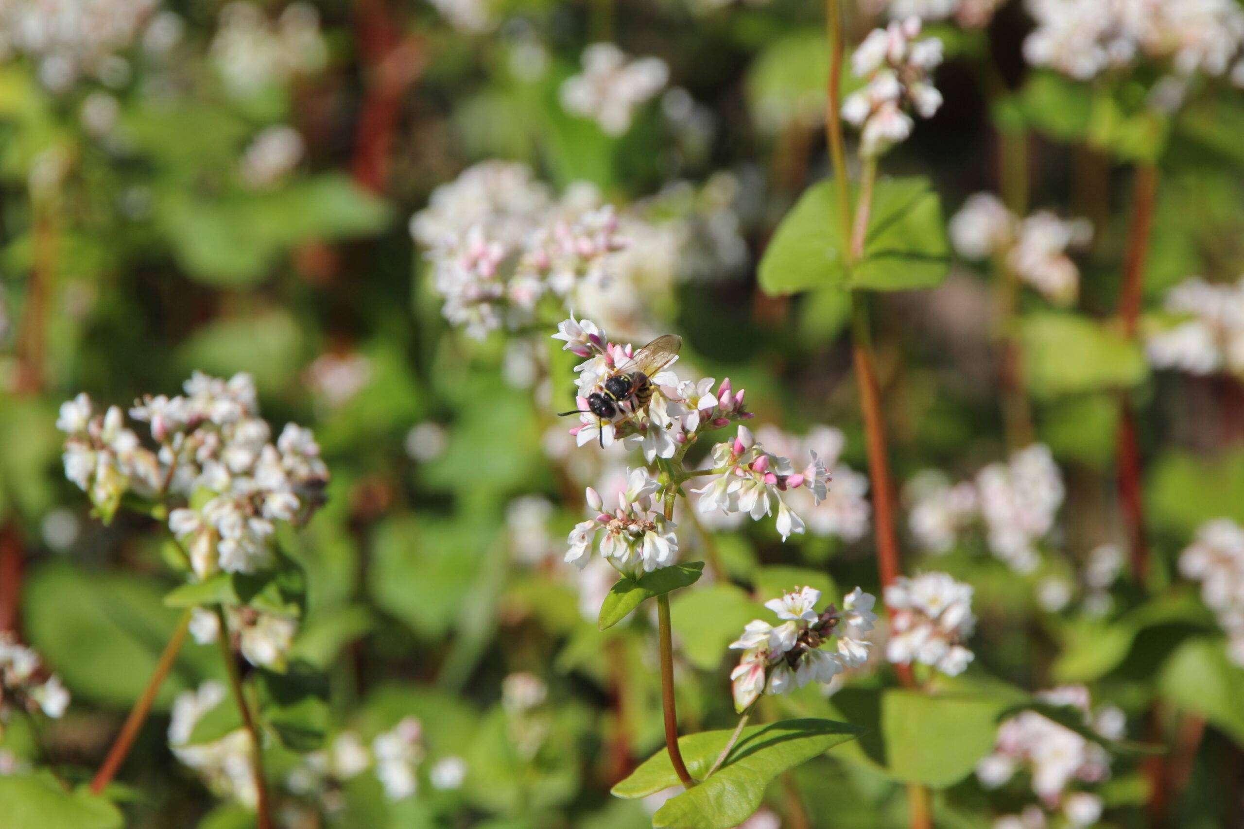 GNR bedankt alle donateurs voor hun steun in 2021!