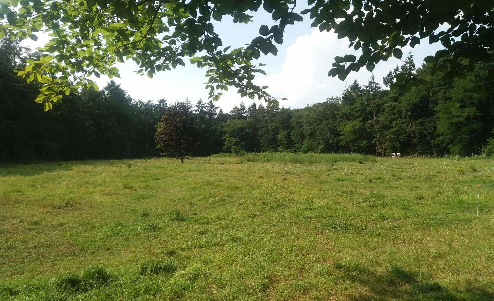 Goois Natuurreservaat verbaasd over bouwplan Driftweg bij Huizen