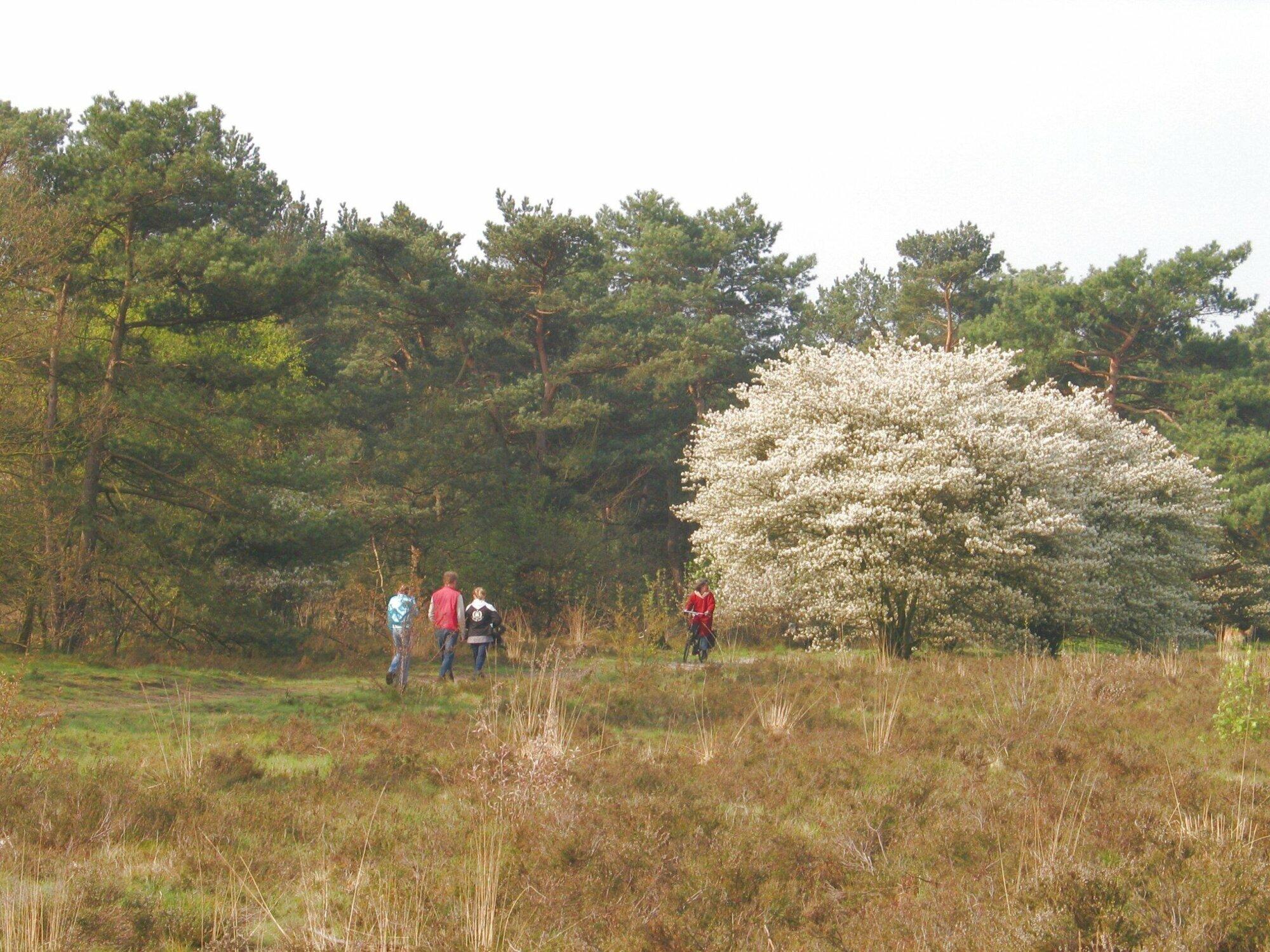 UNESCO Werelderfgoedlijst