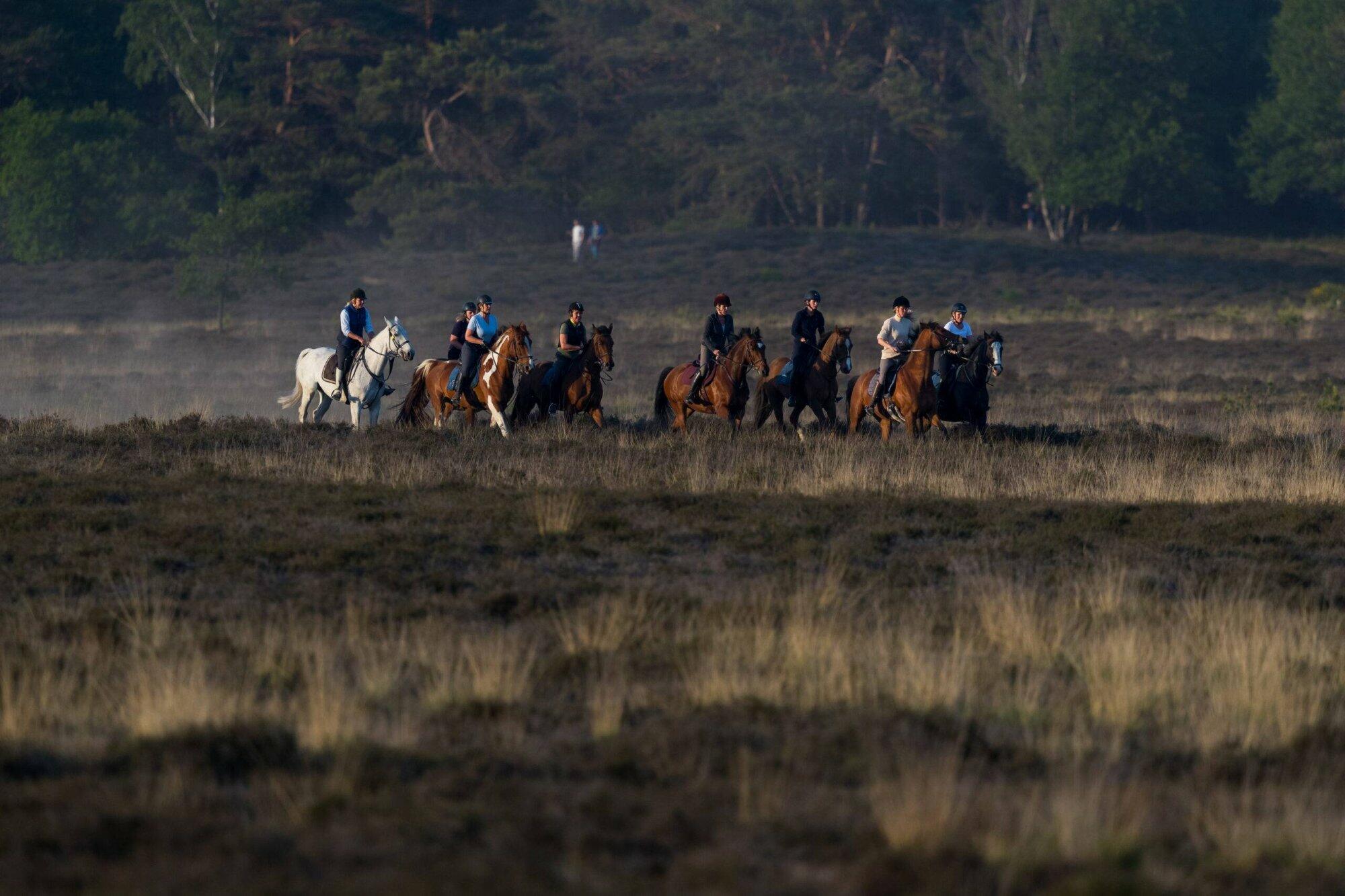 Beheervisie afgerond
