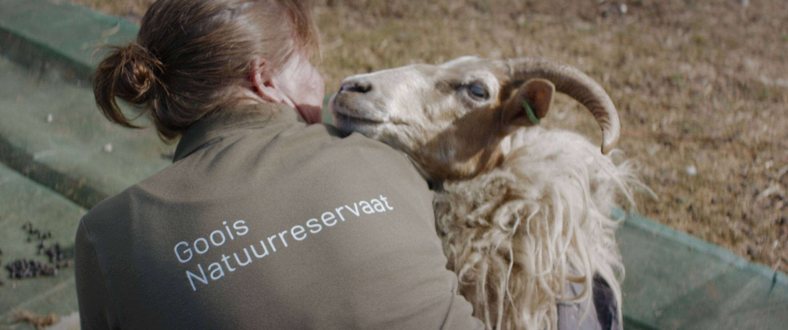 Schaapscheerfeest 2020: Dit jaar vieren we het een beetje anders
