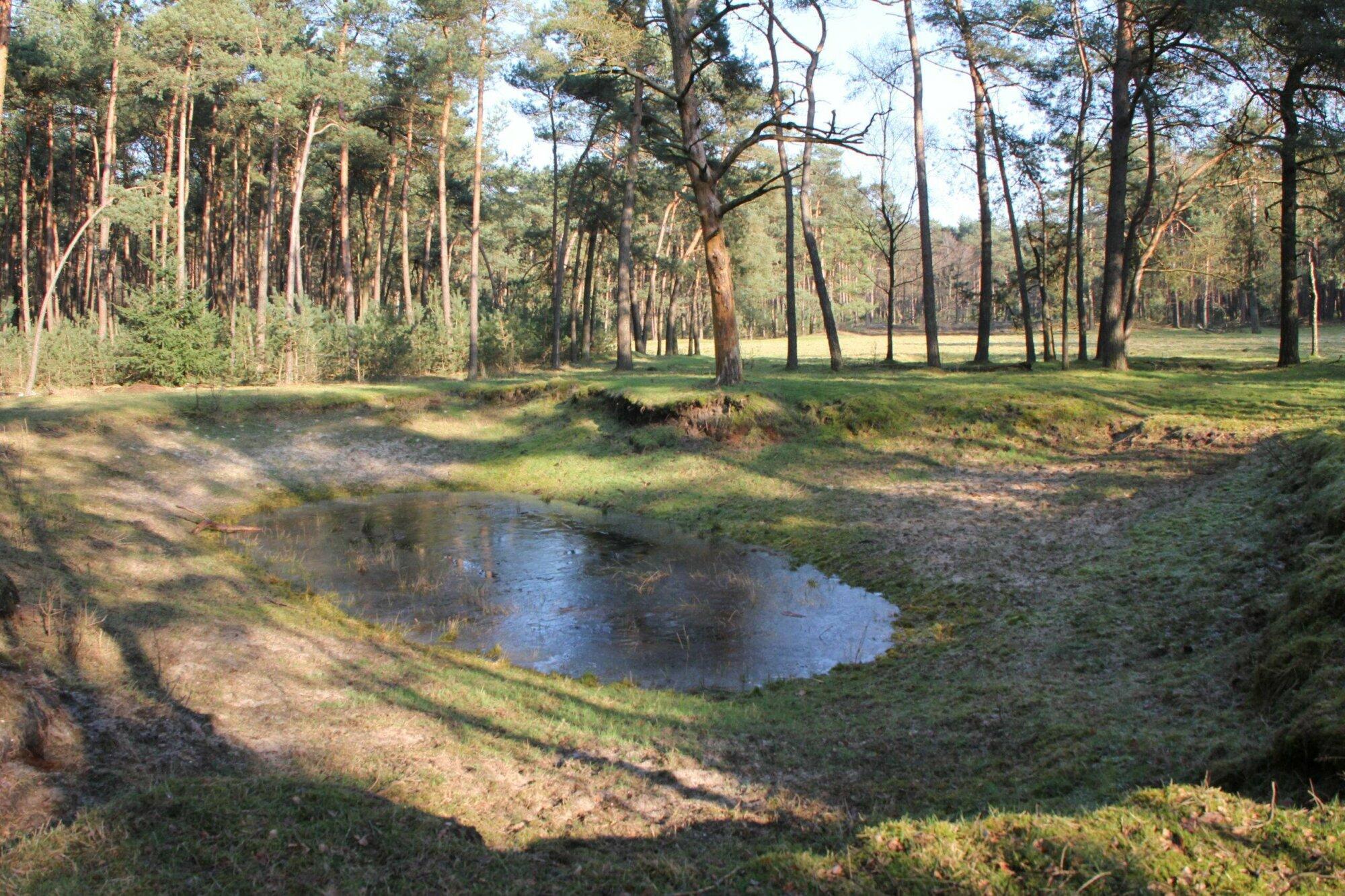 Project Natuurverbinding Hoorneboeg