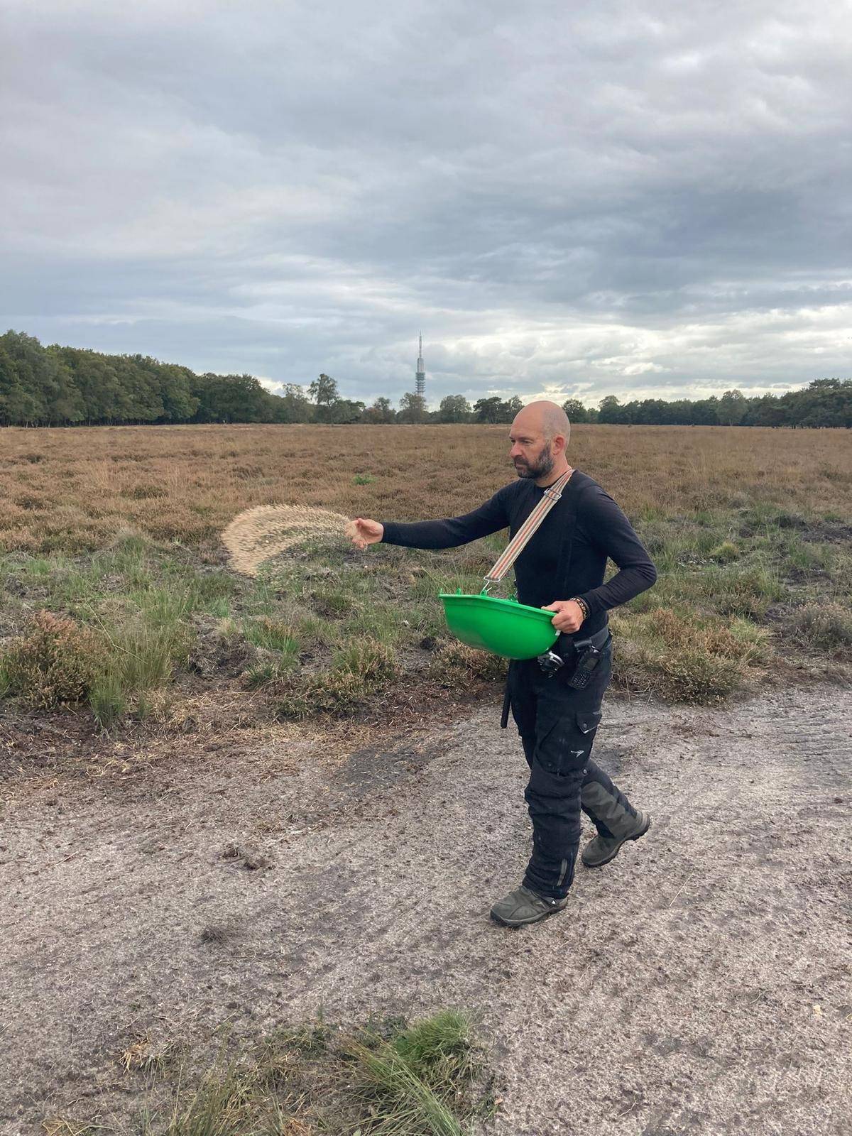 GNR zaait bloemenakkers in voor behoud vlinders en bijen