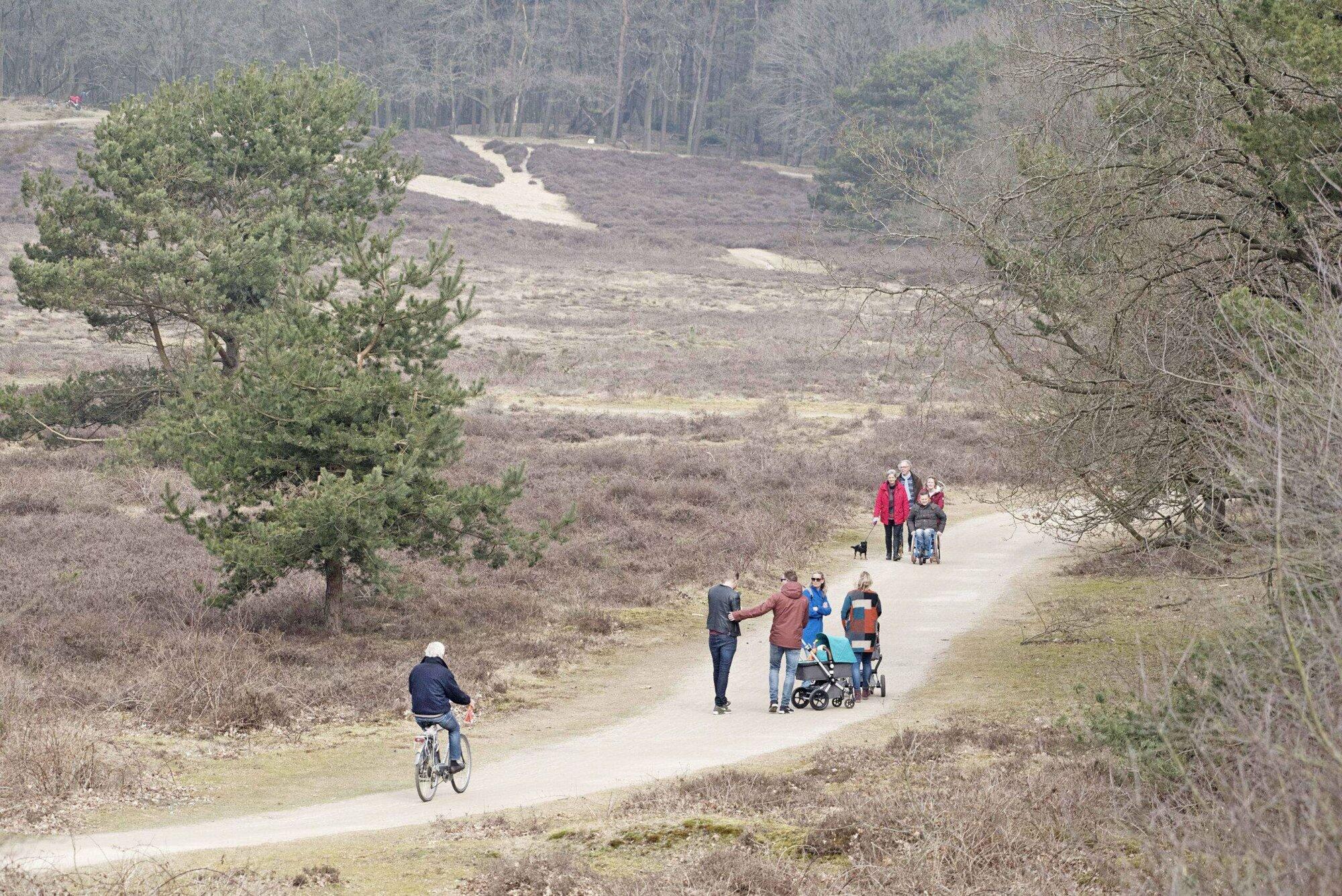 De natuur nodigt uit tot bewegen