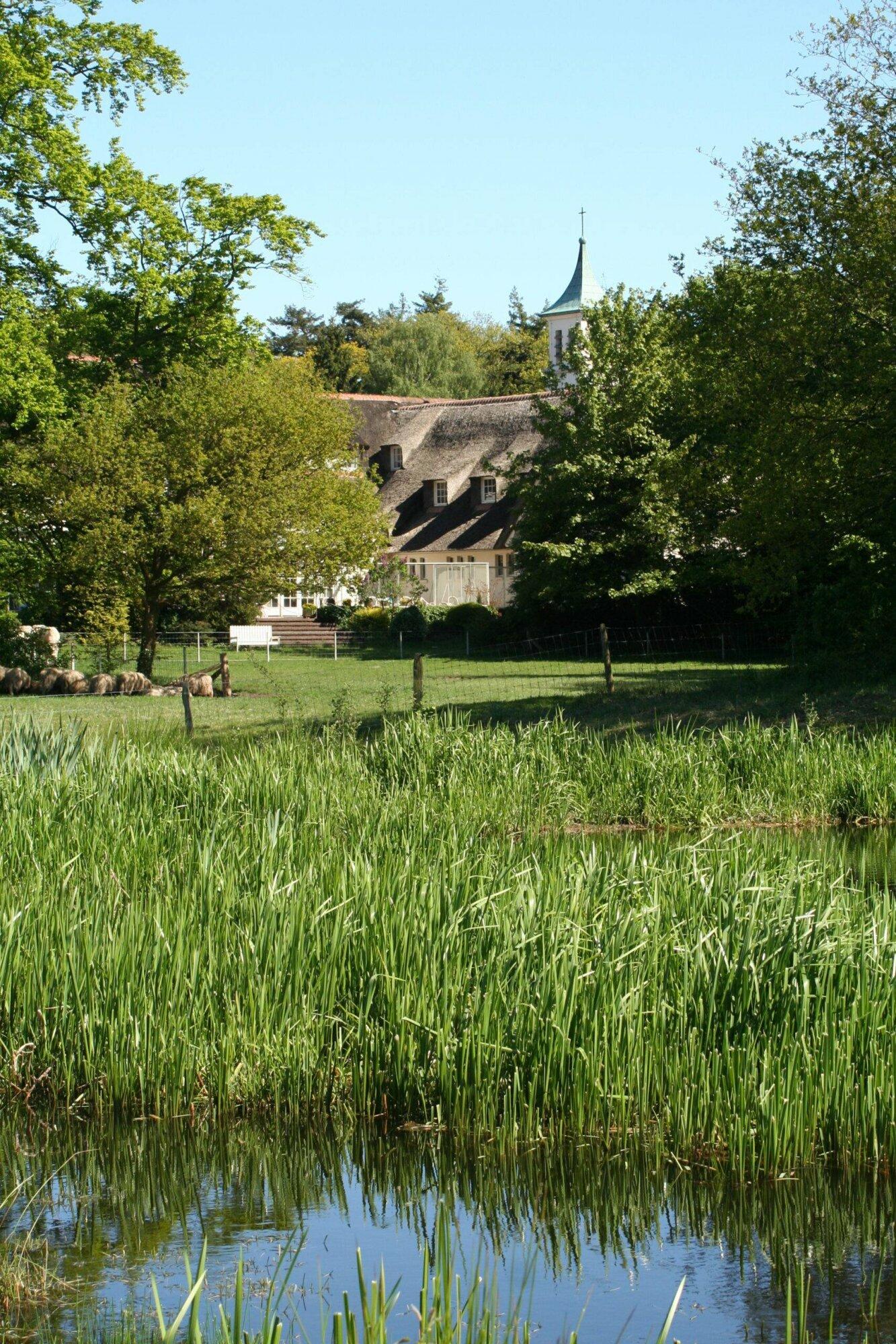 Aankoop 1,6 hectare landgoedbos