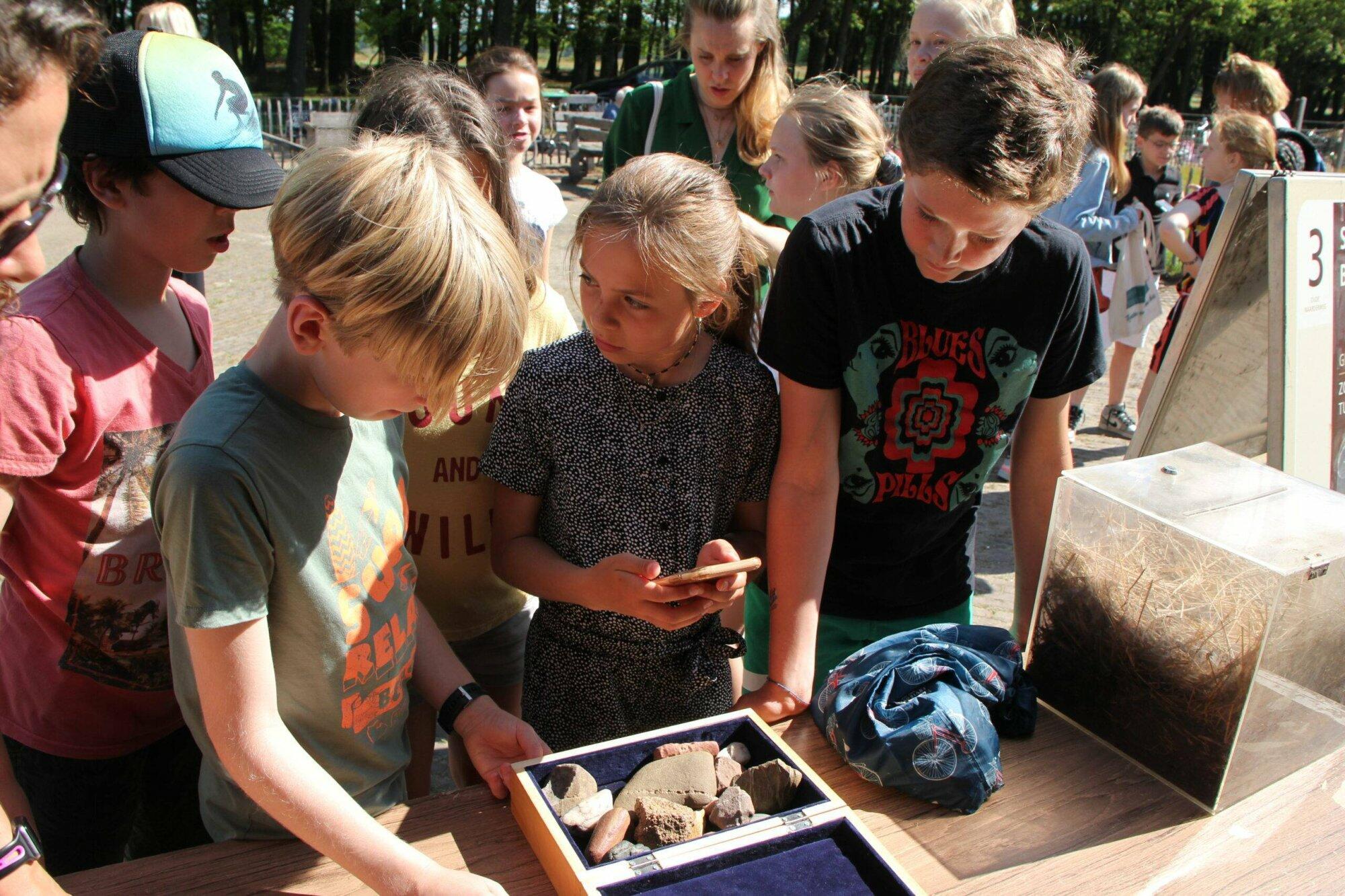 Start nieuw educatief programma bij de Schaapskooi Blaricum