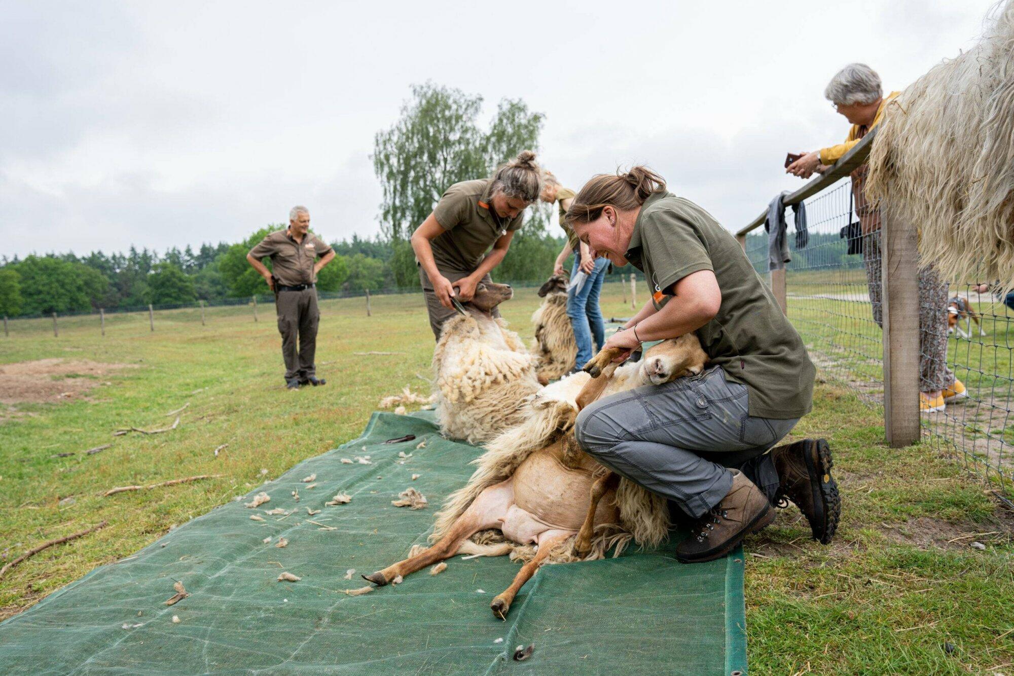 Om alvast in je agenda te noteren!