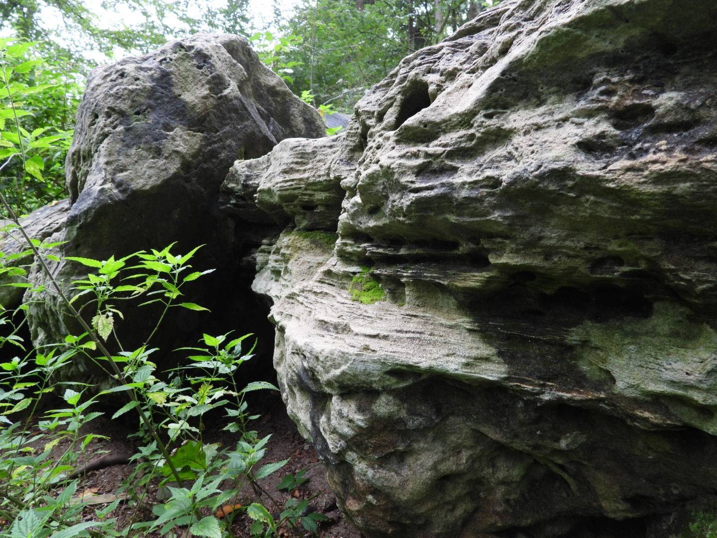 Zwerfstenen in het Gooi
