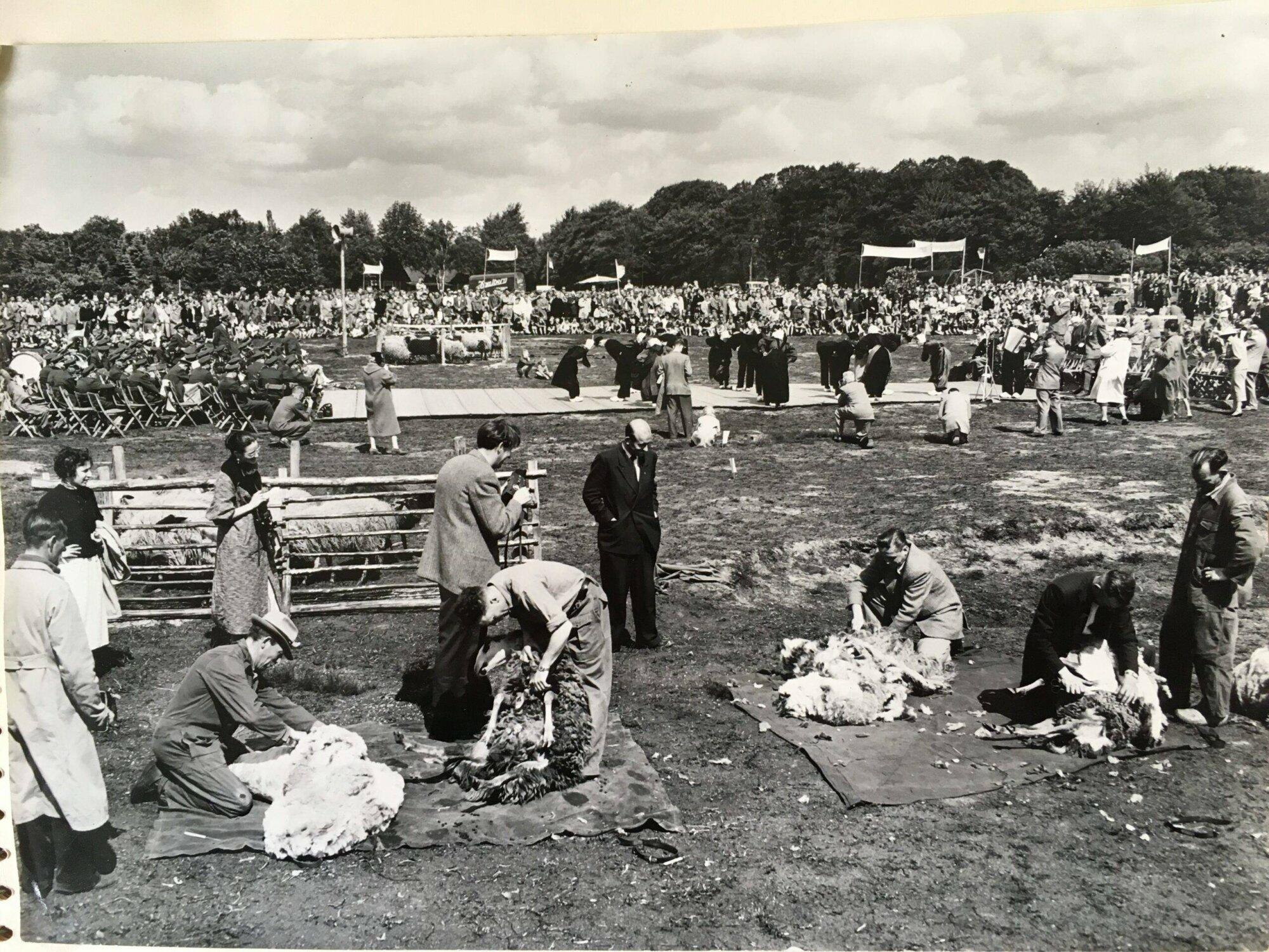 Terug in de tijd – Schaapscheerdersfeest