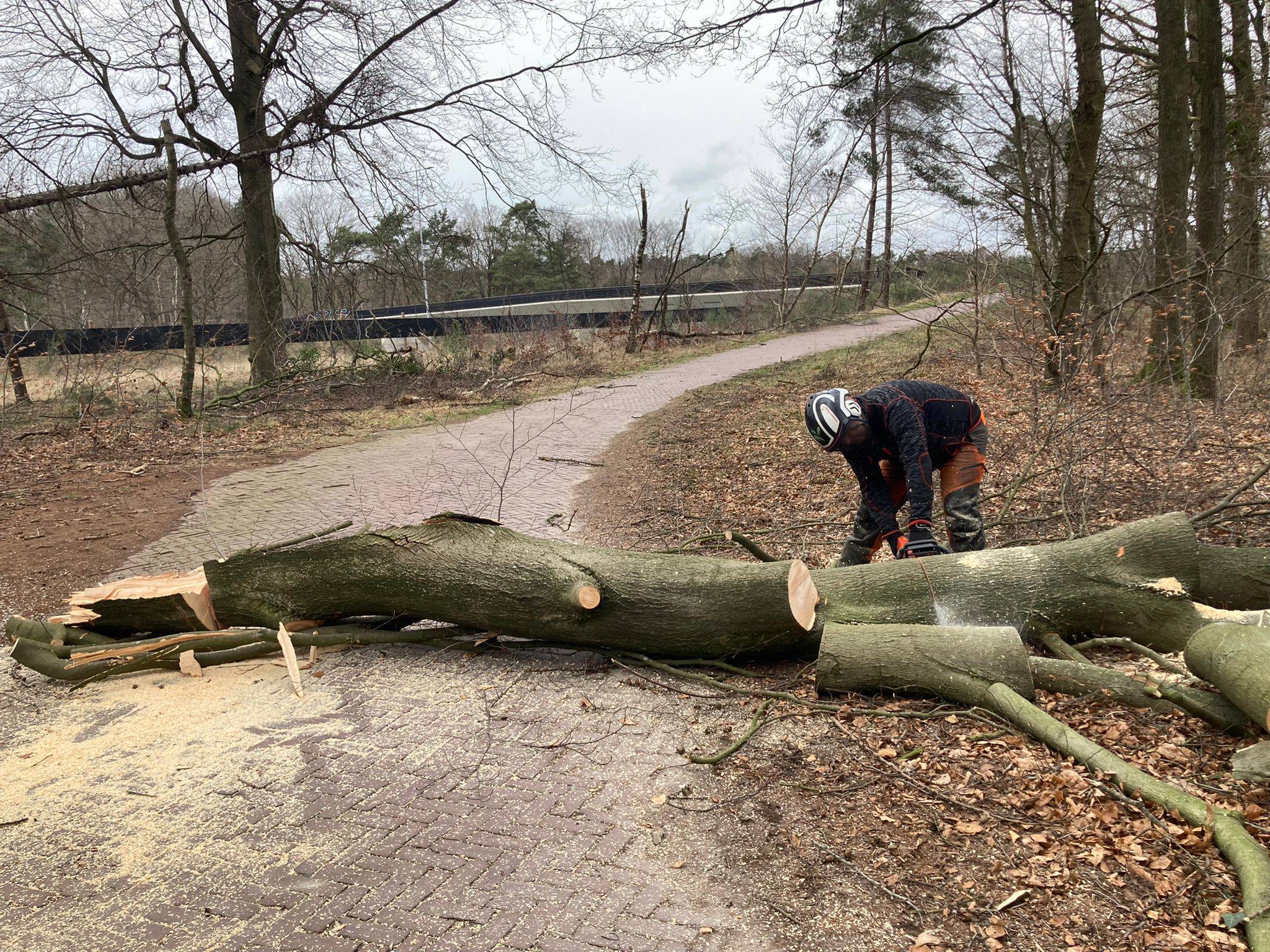 Stormschade, ongemak op de paden maar kans voor de natuur