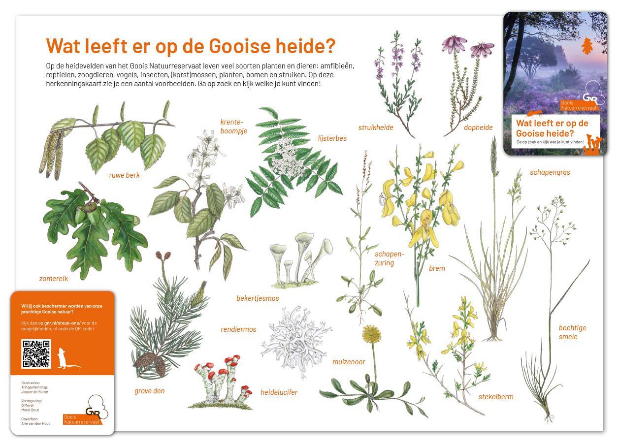 Heidezoekkaart - Afbeelding 2