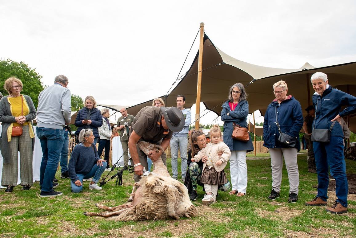 Boswachter Mirjam: Kale schapen en zakken vol wol