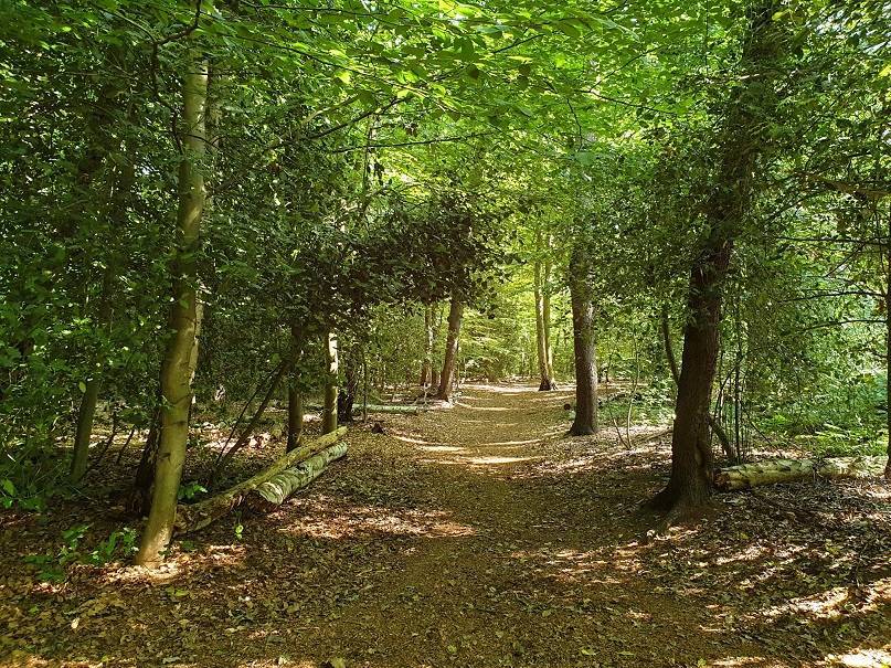Goois Natuurreservaat koopt Kocherbos in Muiderberg aan