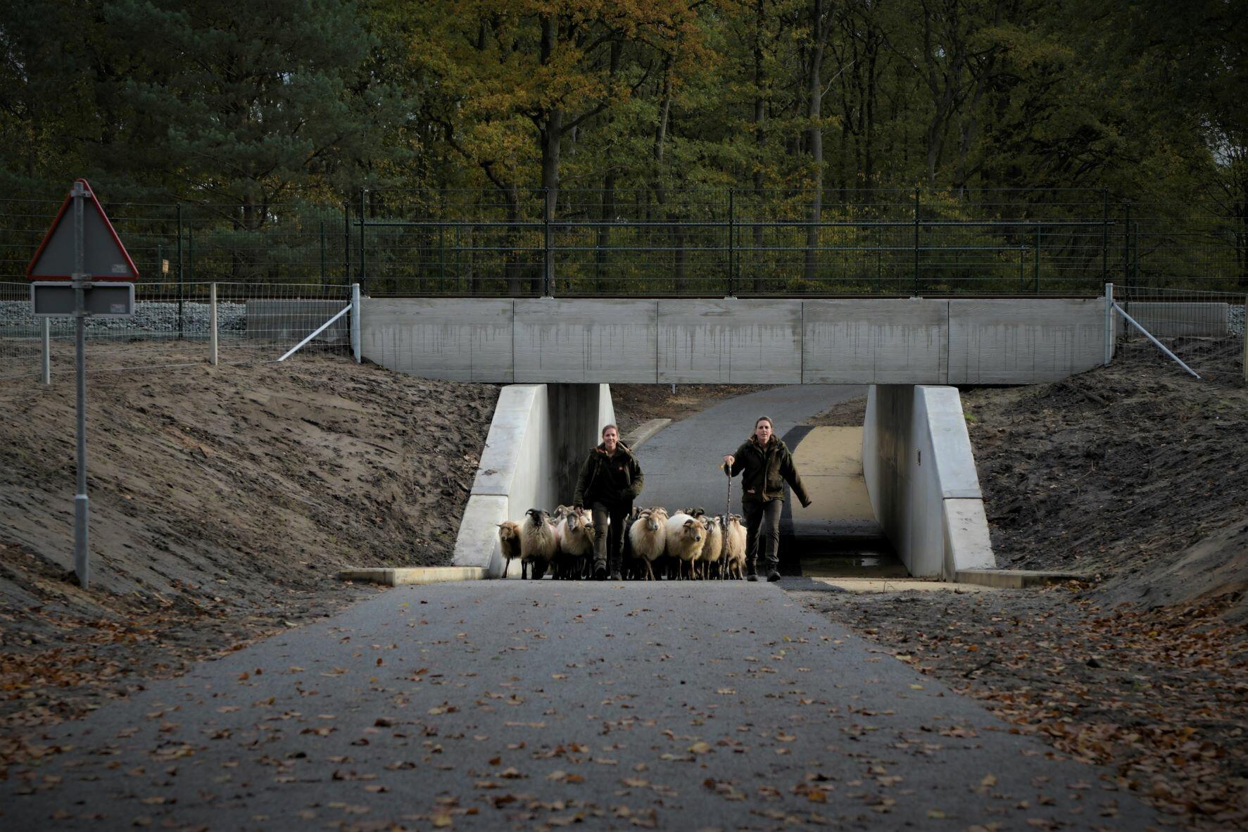 Fiets/wandeltunnel onder het spoor Hilversum-Utrecht nabij de Maartensdijkseweg is gereed!