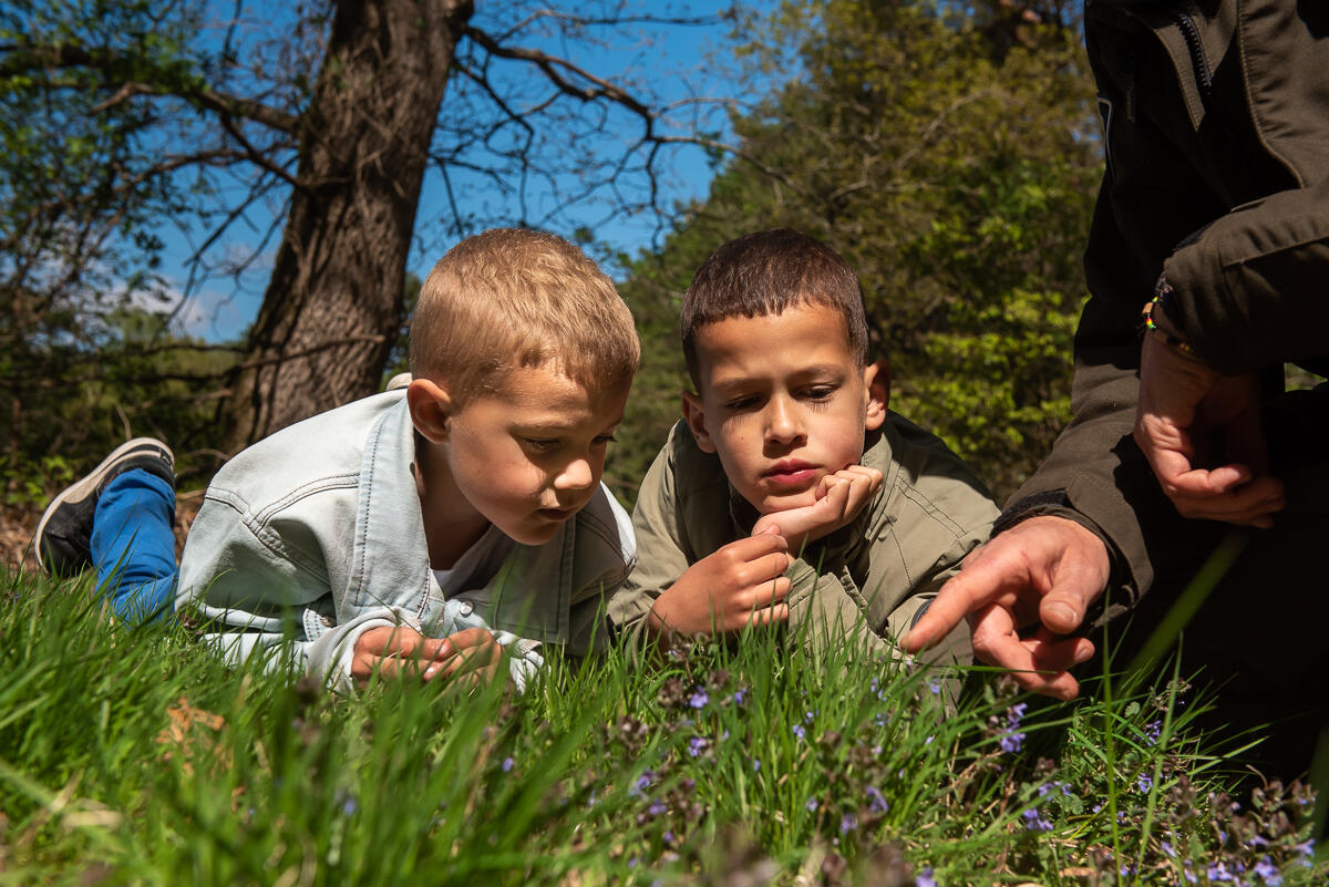 Goois Natuurreservaat start met nieuw educatief programma dankzij vereniging Vrienden van het Gooi