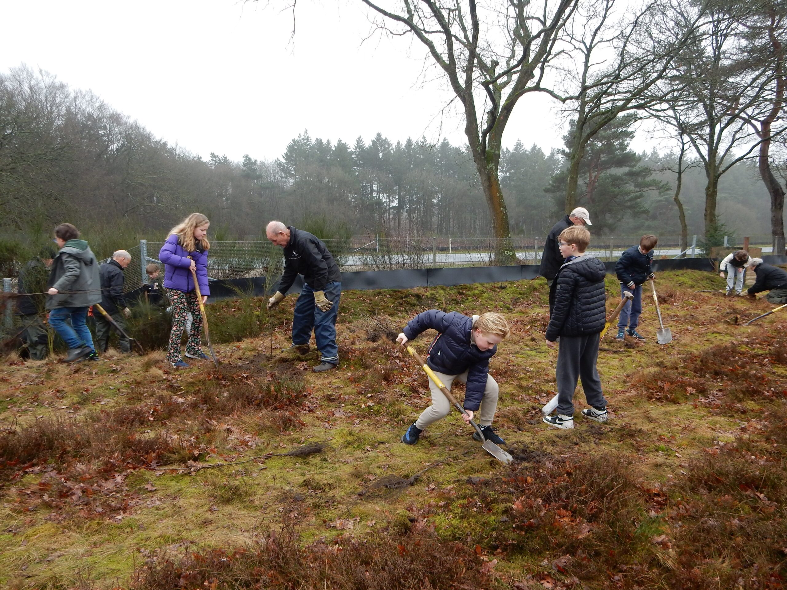 Boomfeestdag op Gooische School