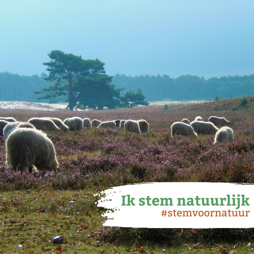 Natuurorganisaties houden Politiek Café op 8 maart