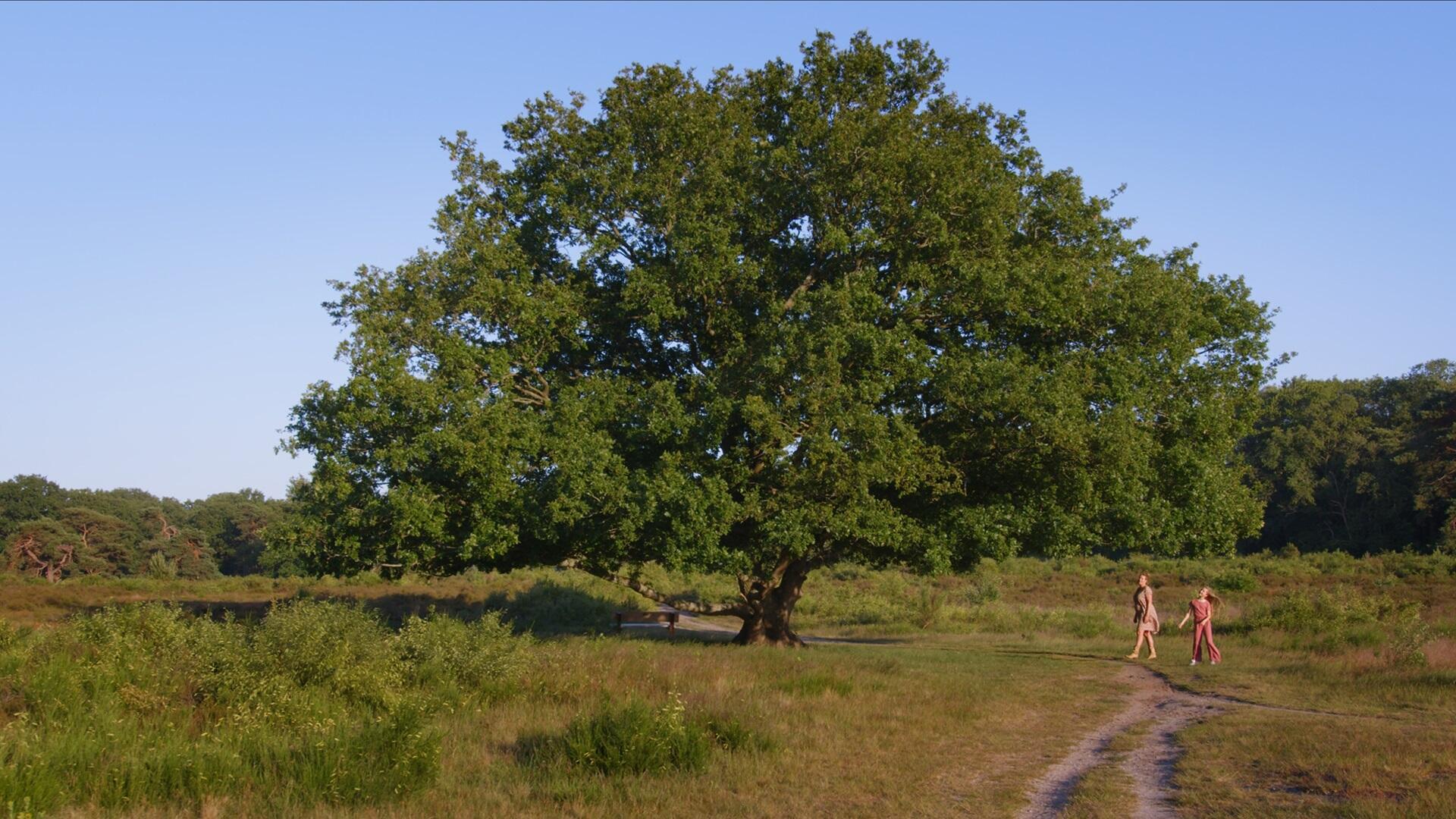 We hebben een supermooi filmpje! Kijk je mee?