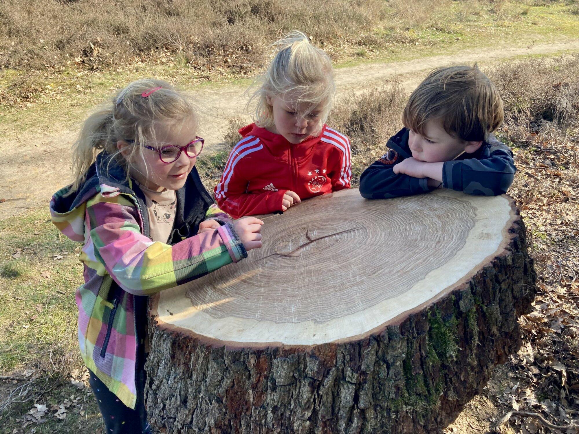 Splinternieuwe kleuterpaden