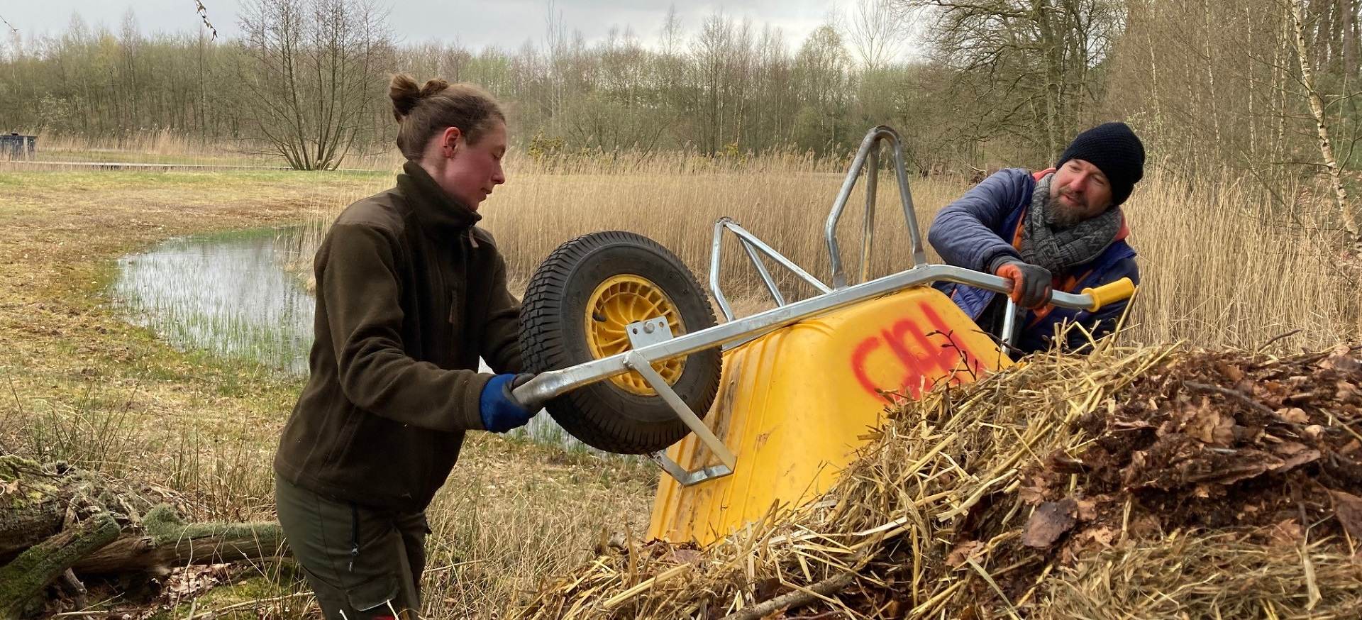 Boswachter Dirk: Hoop voor de ringslang