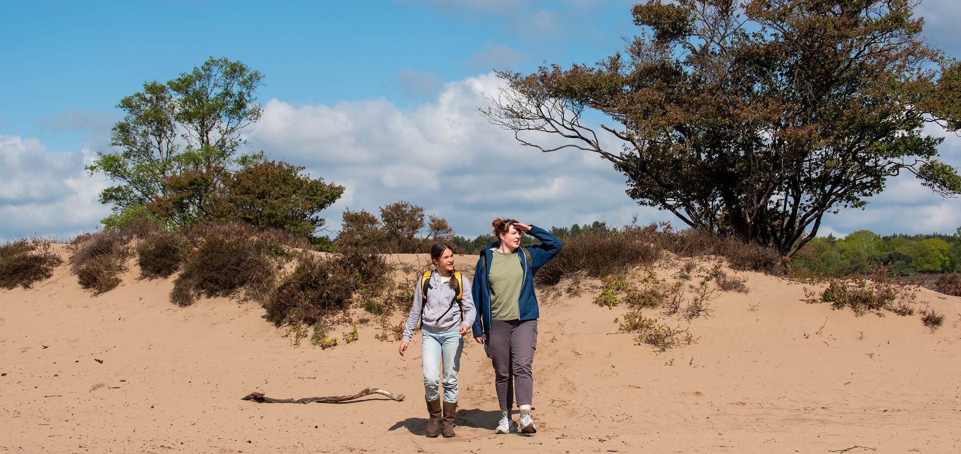 Boswachter Daan: Op safari