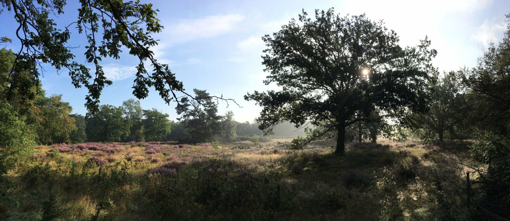 Start project versterking natuurverbinding