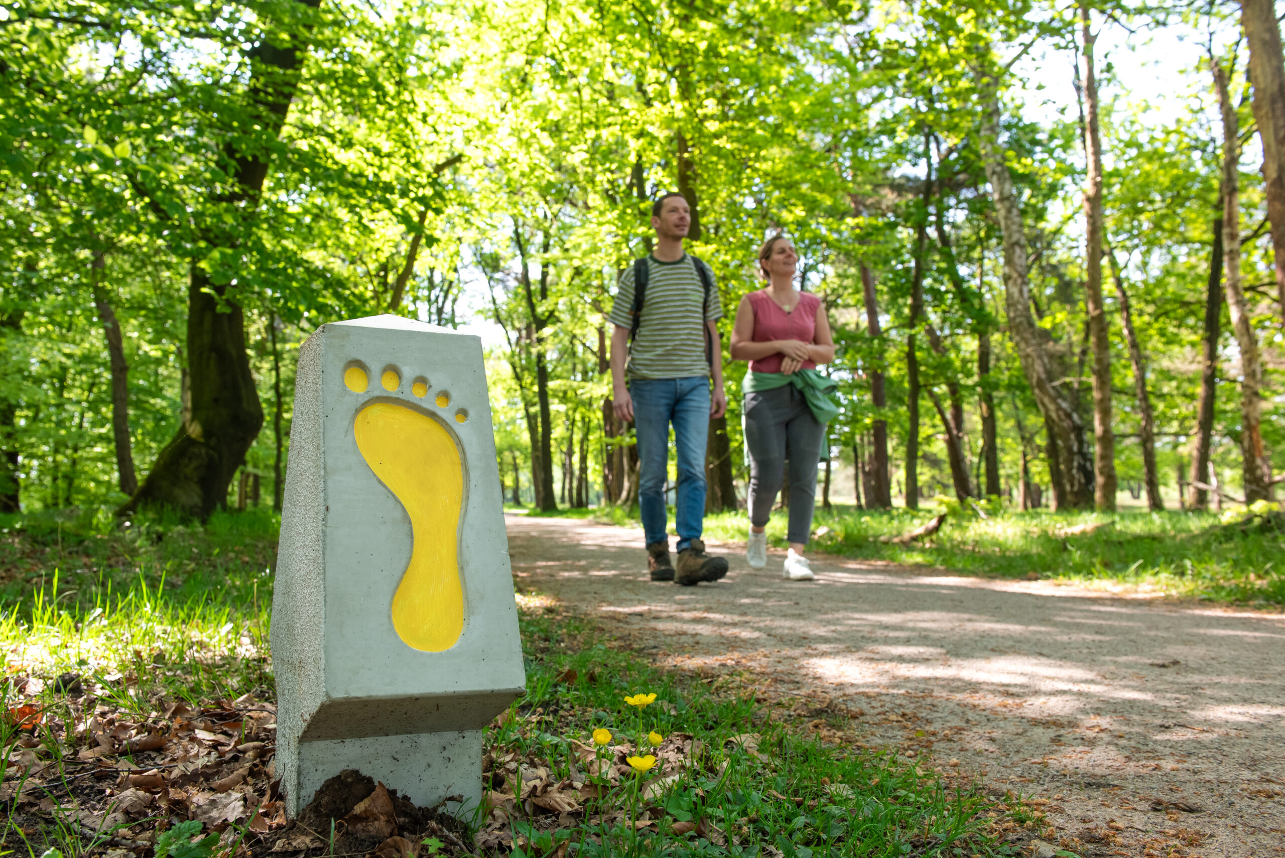 Voetstappenpad vernieuwd!