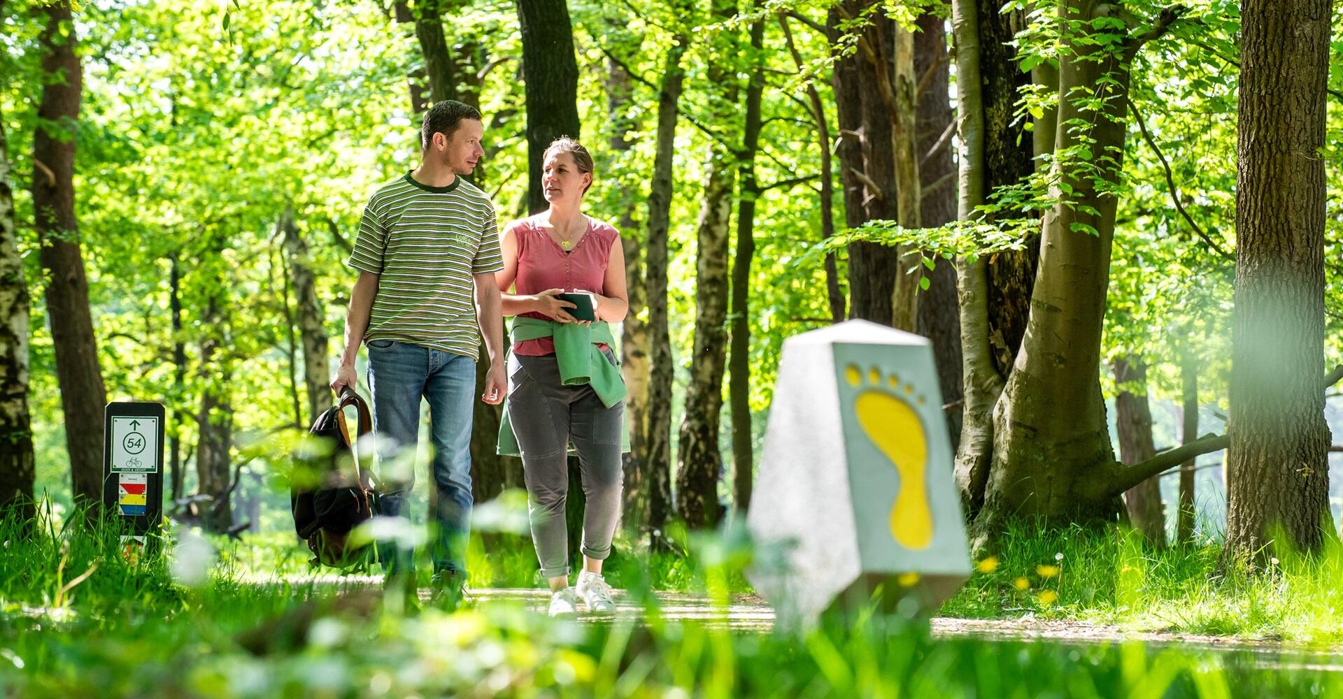 Boswachter Dirk: Hoera, Voetstappenpad vernieuwd!