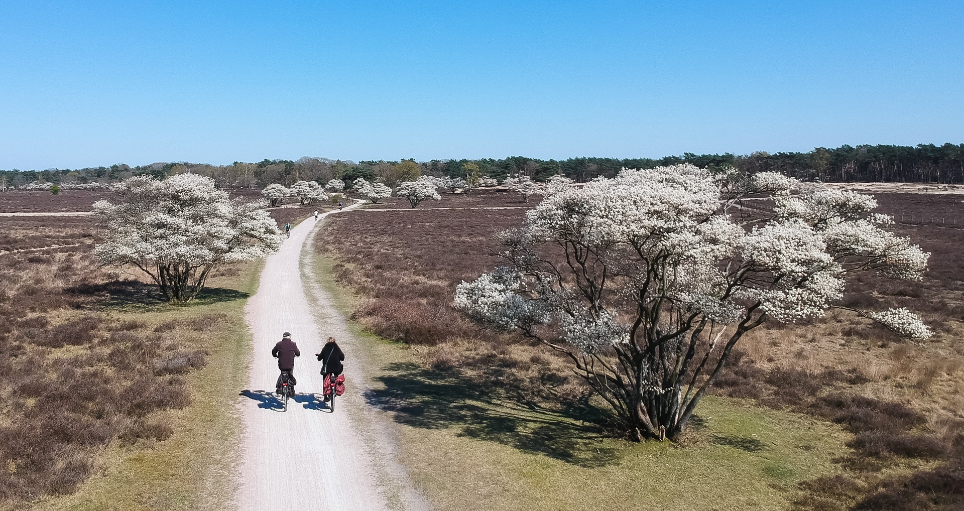 Boswachter Dirk: Terug in de tijd op de Zuiderheide