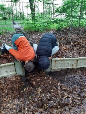 Gezinsexcursie: paddenpad juni