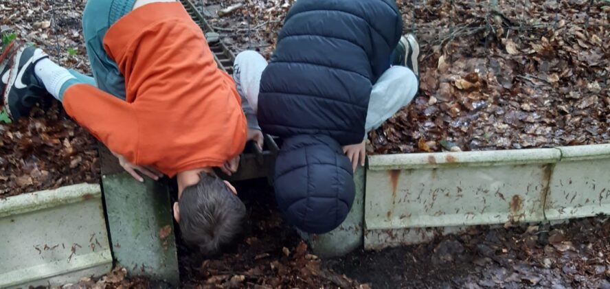 Paddenpad excursie 2024 Paddenpad excursie 2024