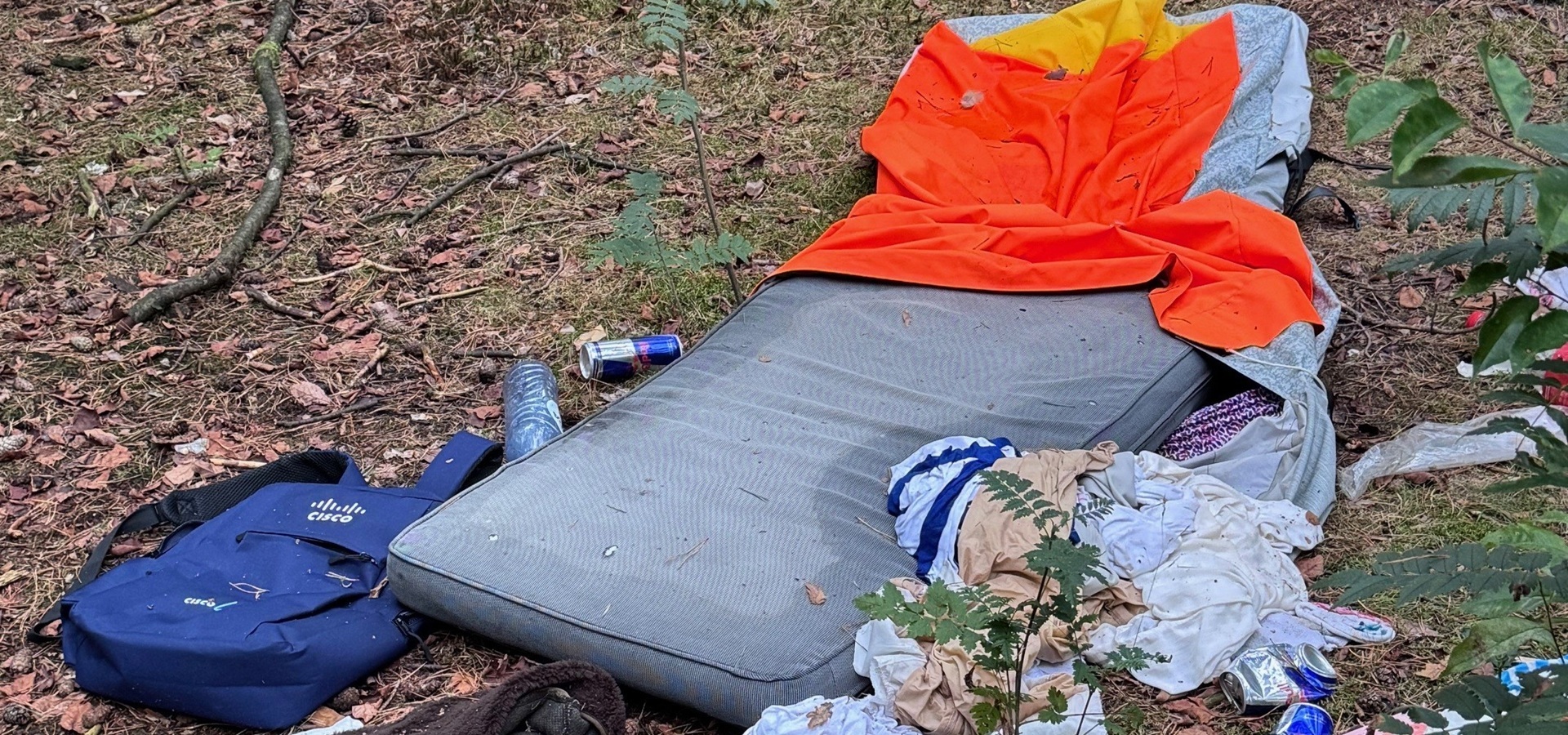 Boswachter John: Slapen in het bos