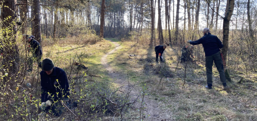 Natuurwerkdag GNR Natuurwerkdag GNR